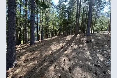 2179 Navajo, Valley Springs, CA 95223 - Photo 3