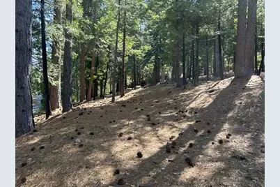 2179 Navajo, Valley Springs, CA 95223 - Photo 5