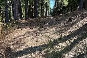 2179 Navajo, Valley Springs, CA 95223 - Photo 1