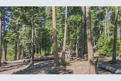 403 Sierra Parkway, Camp Connell, CA 95223 - Photo 7