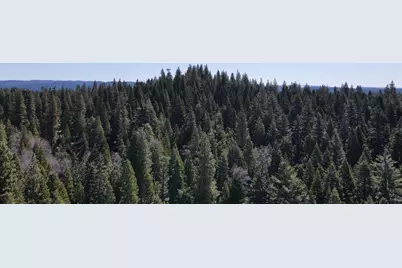 403 Sierra Parkway, Camp Connell, CA 95223 - Photo 21