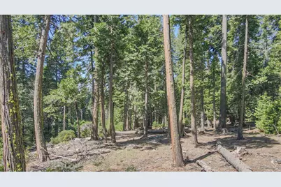 403 Sierra Parkway, Camp Connell, CA 95223 - Photo 1