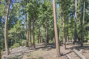 403 Sierra Pkwy, Camp Connell, CA 95223 - Photo 1