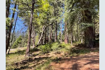 1474 Moran Road, Arnold, CA 95223 - Photo 5