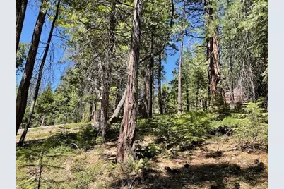 1474 Moran Road, Arnold, CA 95223 - Photo 7