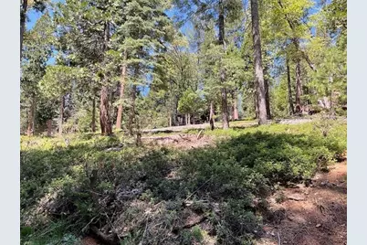 1474 Moran Road, Arnold, CA 95223 - Photo 3