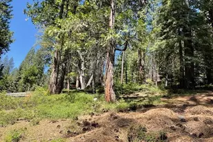 1474 Moran Rd, Arnold, CA 95223 - Photo 1