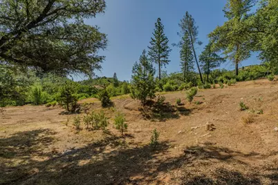0 Hawver Road, Mokelumne Hill, CA 95245 - Photo 9