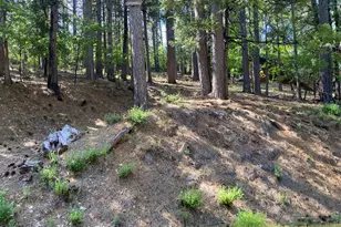 2946 Venado Dr, Arnold, CA 95223 - Photo 1