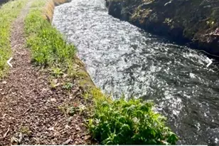 487 Canyon View Dr, Hathaway Pines, CA 95233 - Photo 1