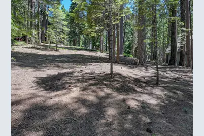 1955 Seminole Way, Arnold, CA 95223 - Photo 11