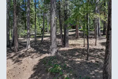 1955 Seminole Way, Arnold, CA 95223 - Photo 7