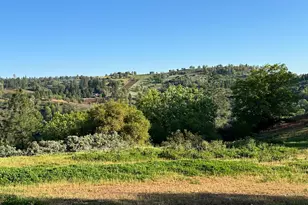 4022 Sheep Ranch, Murphys, CA 95247 - Photo 73