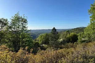 4022 Sheep Ranch, Murphys, CA 95247 - Photo 75