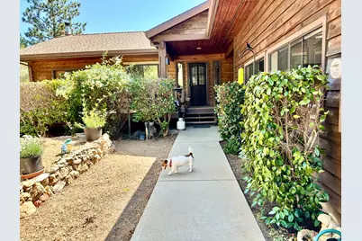 4022 Sheep Ranch, Murphys, CA 95247 - Photo 7