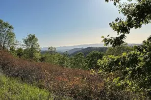 4022 Sheep Ranch, Murphys, CA 95247 - Photo 71