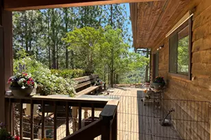 4022 Sheep Ranch, Murphys, CA 95247 - Photo 9