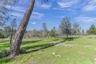 169 Snowberry Ct, Murphys, CA 95247 - Photo 59