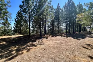 773 Red Fox Rd, Mountain Ranch, CA 95246 - Photo 1
