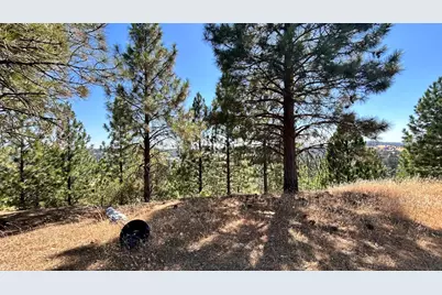 773 Red Fox Road, Mountain Ranch, CA 95246 - Photo 3