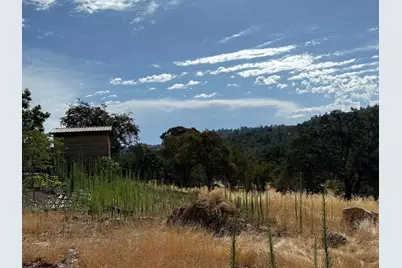 1026 Coyote Creek Road, Murphys, CA 95247 - Photo 47