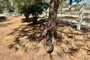 300 Bridlewood Ln, Copperopolis, CA 95228 - Photo 67