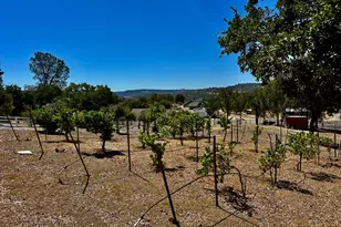 300 Bridlewood Ln, Copperopolis, CA 95228 - Photo 63