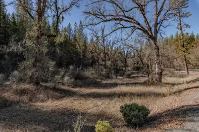 3035 Wharregard Road, Rail Road Flat, CA 95248 - Photo 17