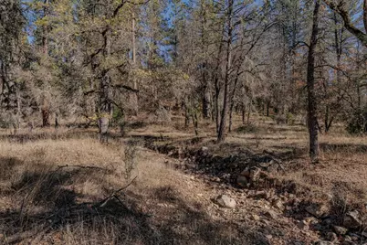 3035 Wharregard Road, Rail Road Flat, CA 95248 - Photo 23