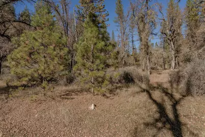 3035 Wharregard Road, Rail Road Flat, CA 95248 - Photo 19