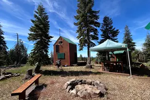 60 Liberty Rd, Dorrington, CA 95223 - Photo 11