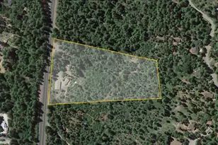 3022 Hwy 4, Arnold, CA 95223 - Photo 5