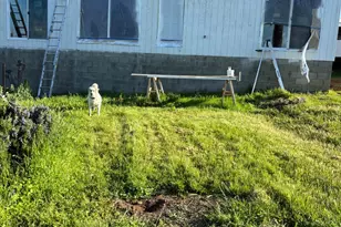 17958 Creations Way, Mountain Ranch, CA 95246 - Photo 3