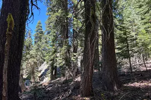 2 Blue Rock Trail, Dorrington, CA 95223 - Photo 11