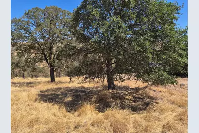 6647 Cane Lane, Valley Springs, CA 95252 - Photo 11