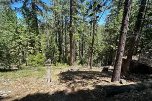 487 Canyon View Dr, Hathaway Pines, CA 95233 - Photo 1