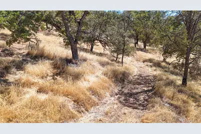 1560 Pinto Dr, Angels Camp, CA 95222 - Photo 47