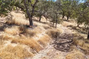 1560 Pinto Dr, Angels Camp, CA 95222 - Photo 45