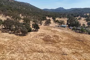 1560 Pinto Dr, Angels Camp, CA 95222 - Photo 7