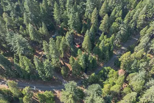 1027 Ponderosa Way, Arnold, CA 95223 - Photo 25