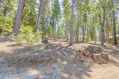 1694 Shoshone Drive, Camp Connell, CA 95223 - Photo 3