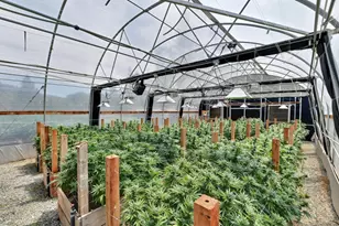 6640 Railroad Flat Rd, Mountain Ranch, CA 95246 - Photo 47