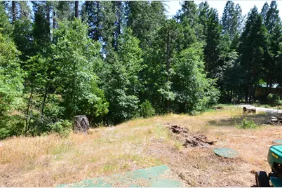 662 Roan Way, Avery, CA 95224 - Photo 5