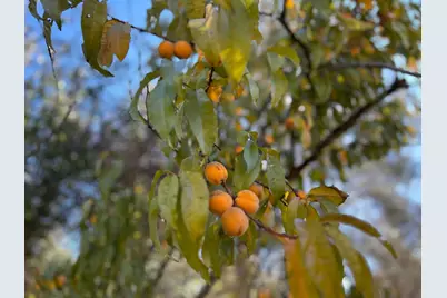 3423 Vallecito Bypass Road, Vallecito, CA 95251 - Photo 23