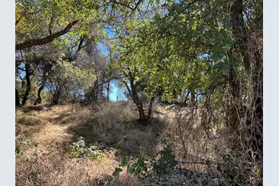 3423 Vallecito Bypass Road, Vallecito, CA 95251 - Photo 21