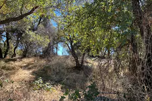 3423 Vallecito Bypass Rd, Vallecito, CA 95251 - Photo 21