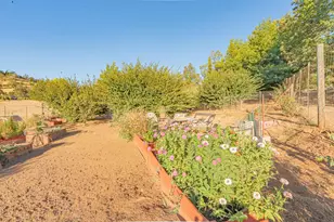 2245 Mills Ct, San Andreas, CA 95249 - Photo 59