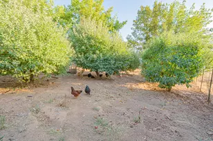 2245 Mills Ct, San Andreas, CA 95249 - Photo 63