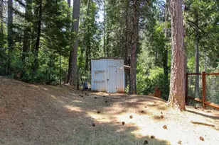 2936 E Hwy 4, Murphys, CA 95247 - Photo 41
