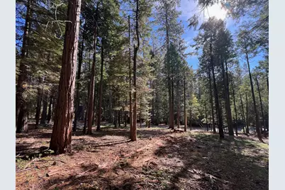 646 Dean Way, Arnold, CA 95223 - Photo 1